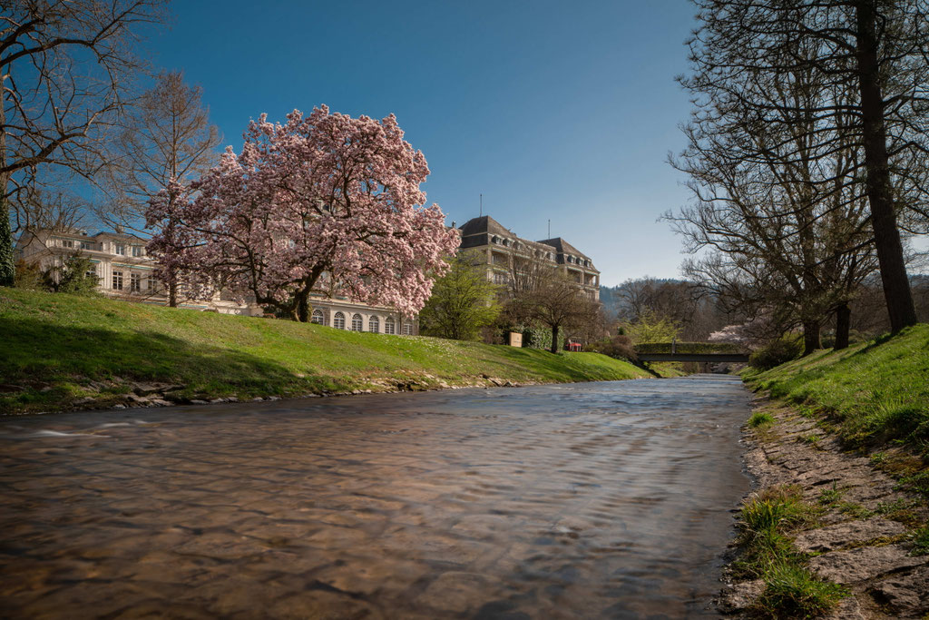 Lichtentaler Allee (c) Baden-Baden Kur & Tourismus GmbH, A. Stephany