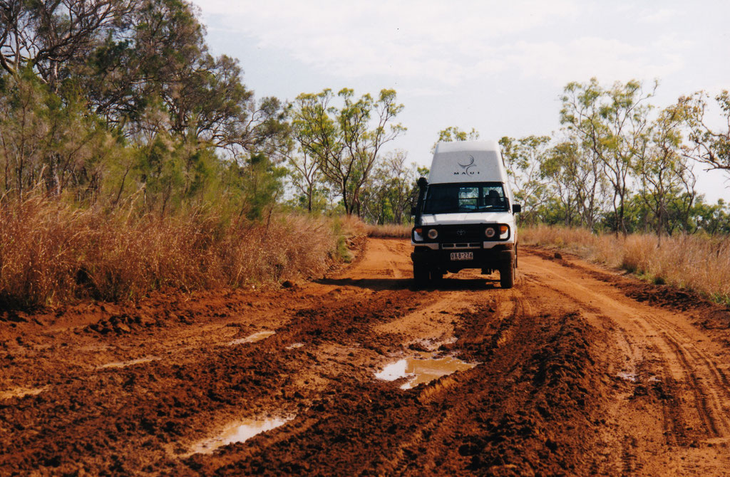 AM TAG NACH DEM GEWITTER IN DER GIBB RIVER ROAD