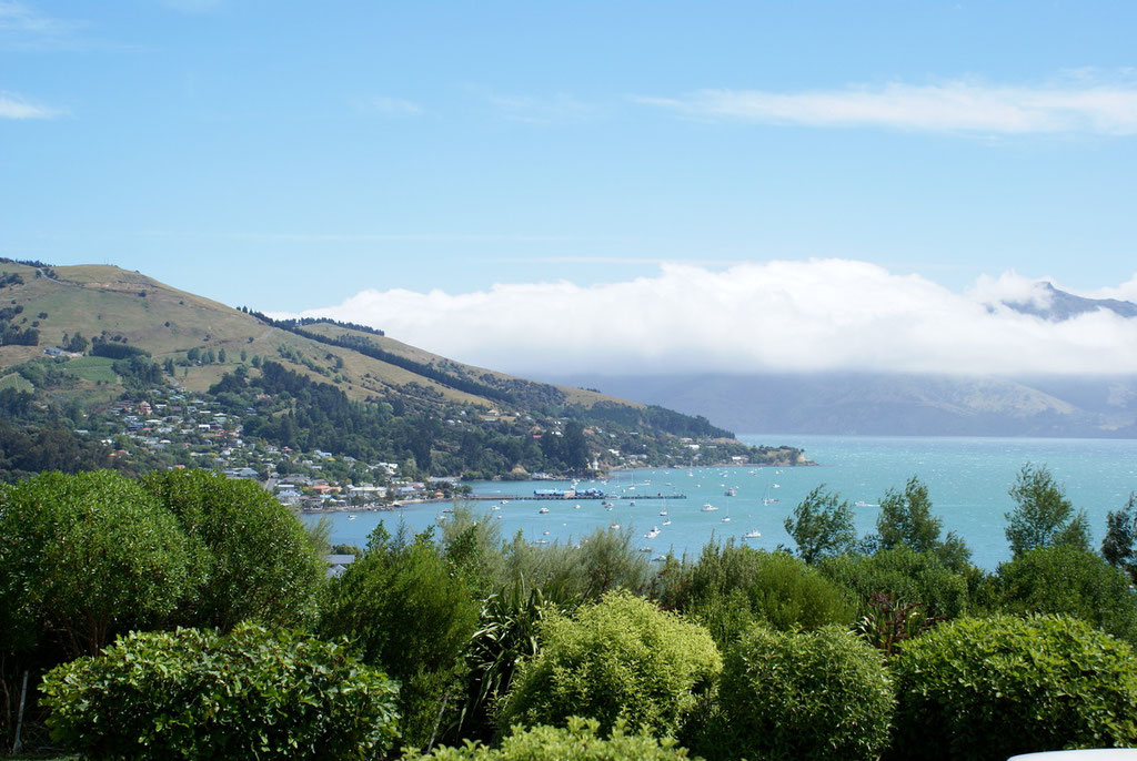 Campground Akaroa Christchurch