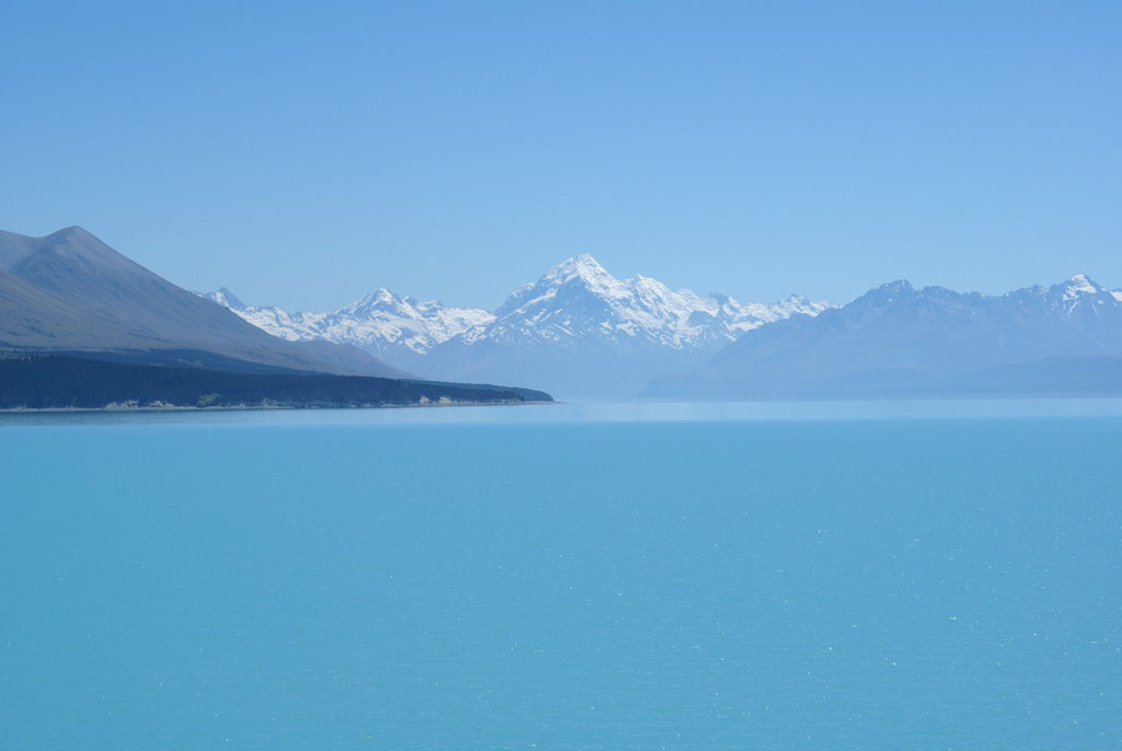 Lake Tepako mit Mt. Cook im Hintergrund
