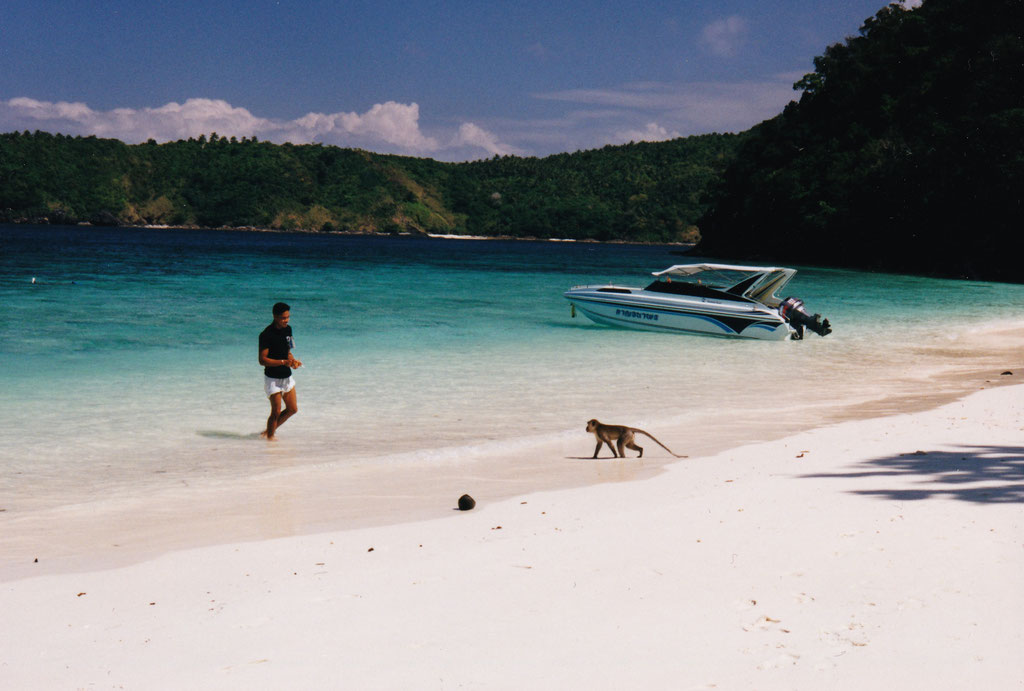 MONKEY ISLAND
