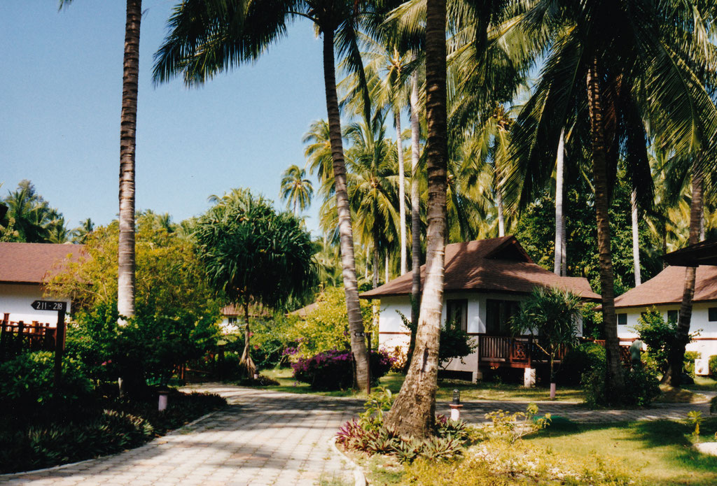 DIE BUNGALOWS SIND SCHÖN IM PALMENWALD VERTEILT