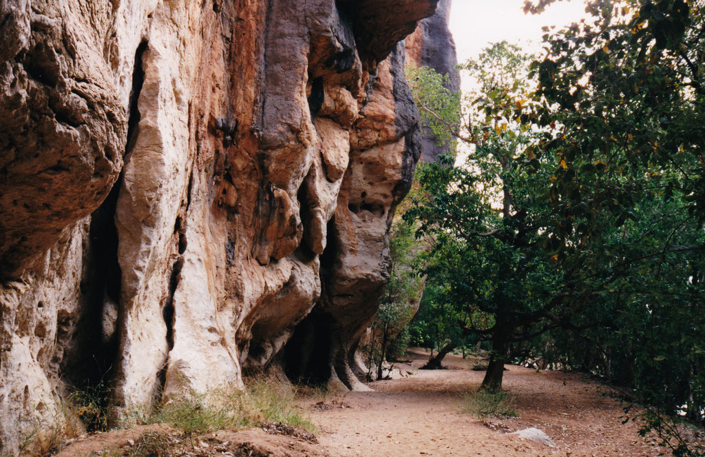 WINDJIANA GORGE