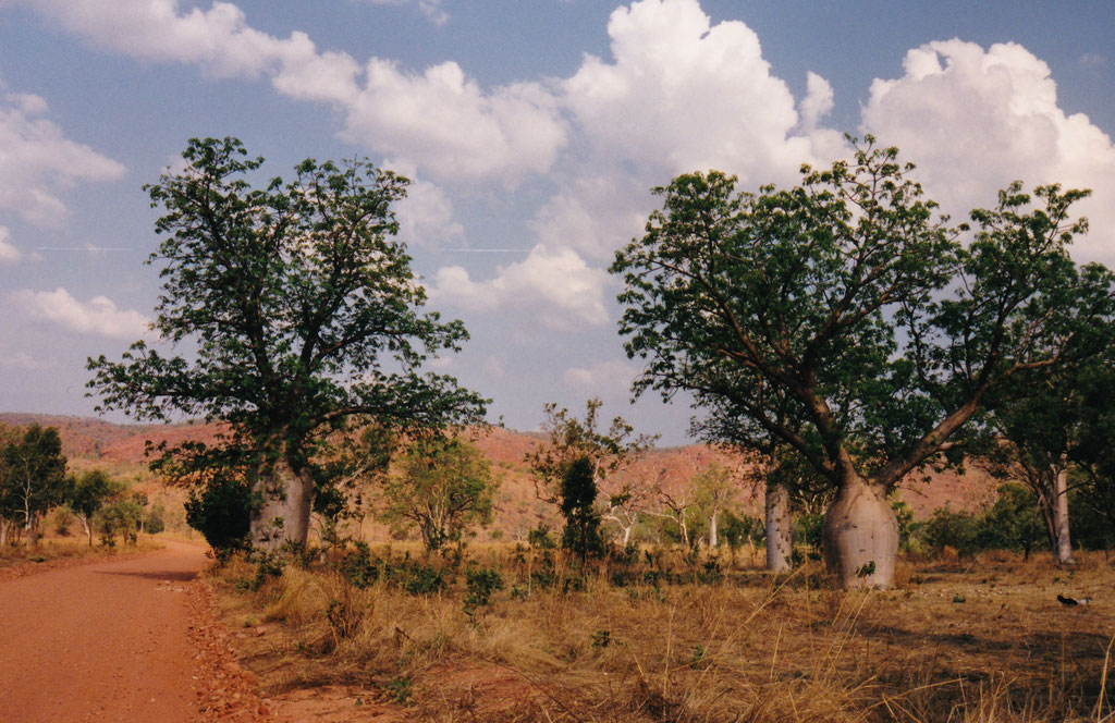 EL QUESTRO CATTEL STATION