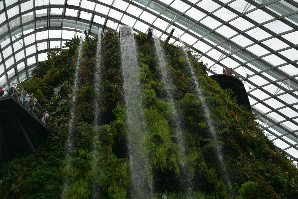 WASSERFALL IM CLOUD FOREST