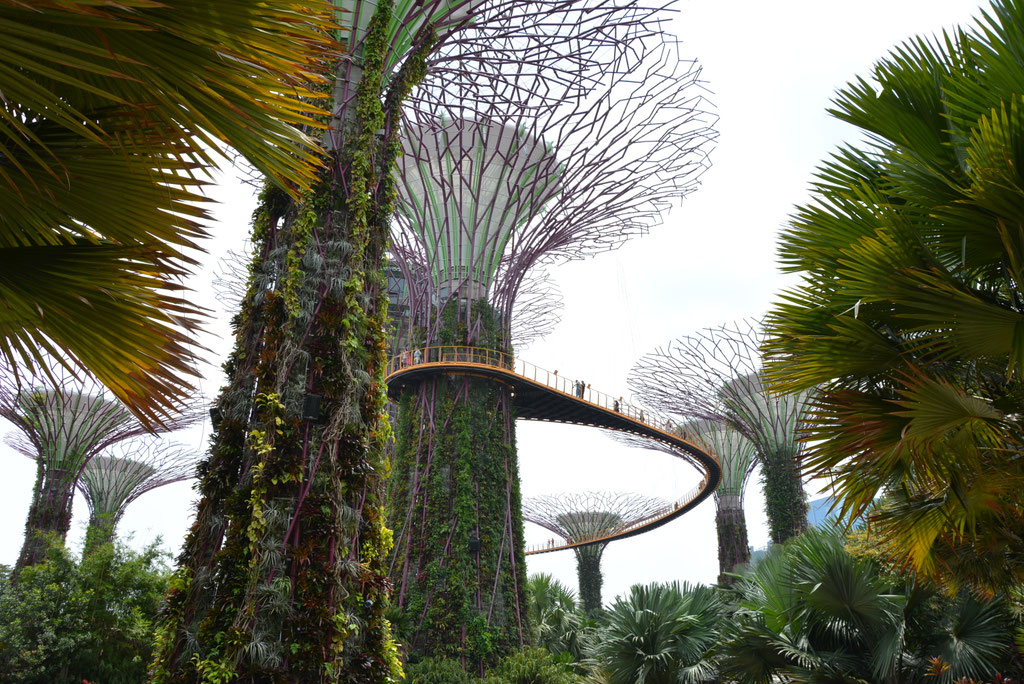 GARDEN BY THE BAY