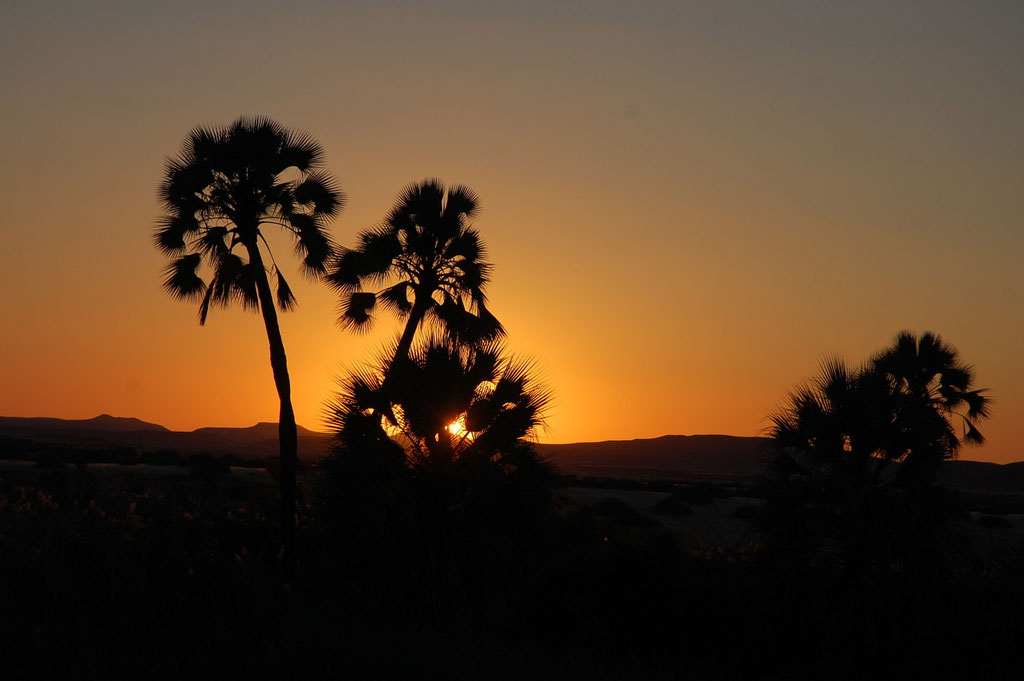 Abendstimmung in der Palmwag Lodge