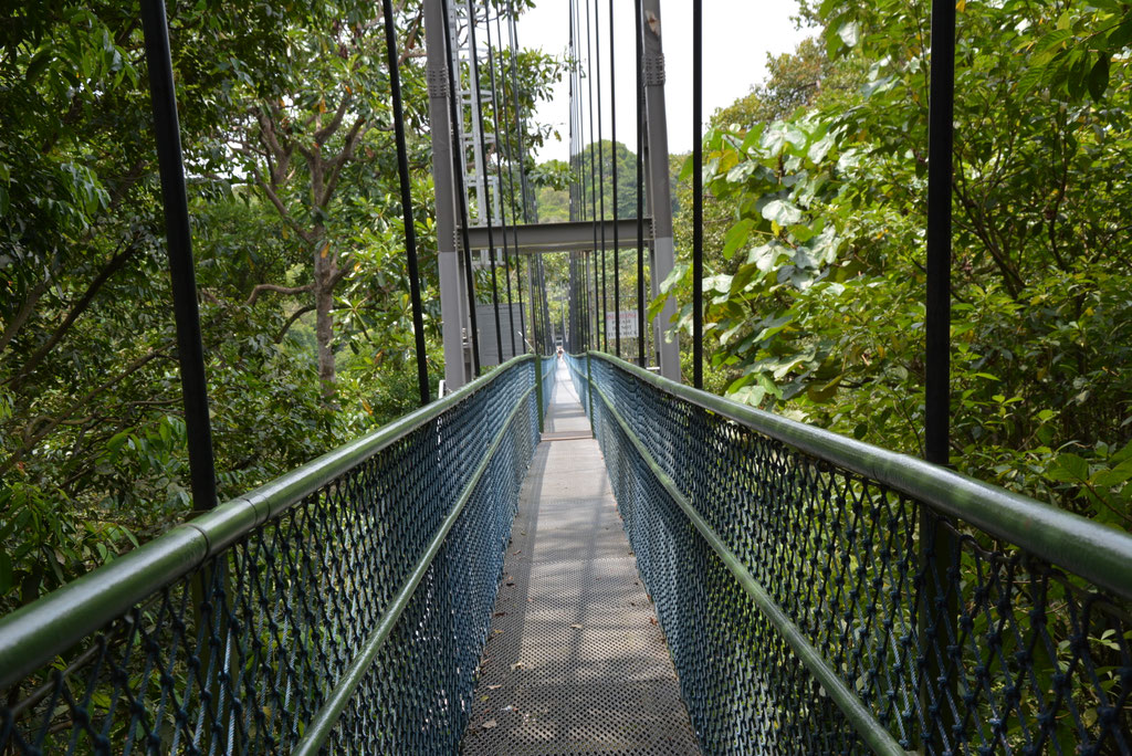 WANDERUNG IM MC RITCHIE PARK
