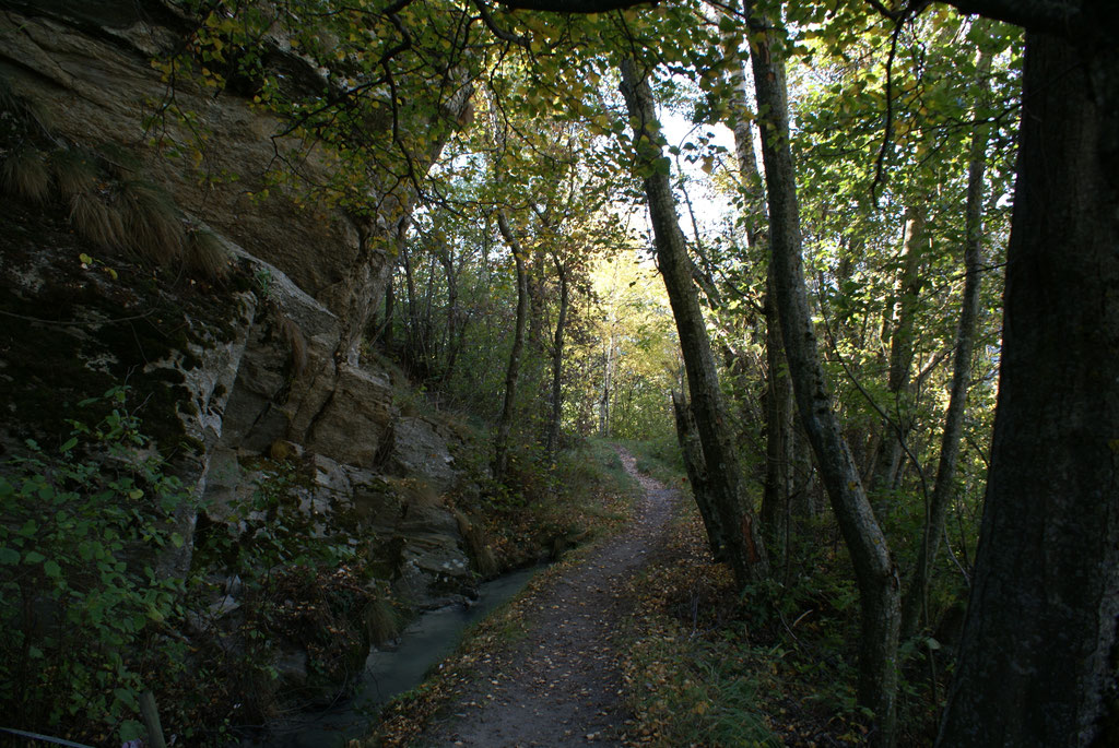SCHÖN IM SCHATTEN ENTLANG DER SUONE