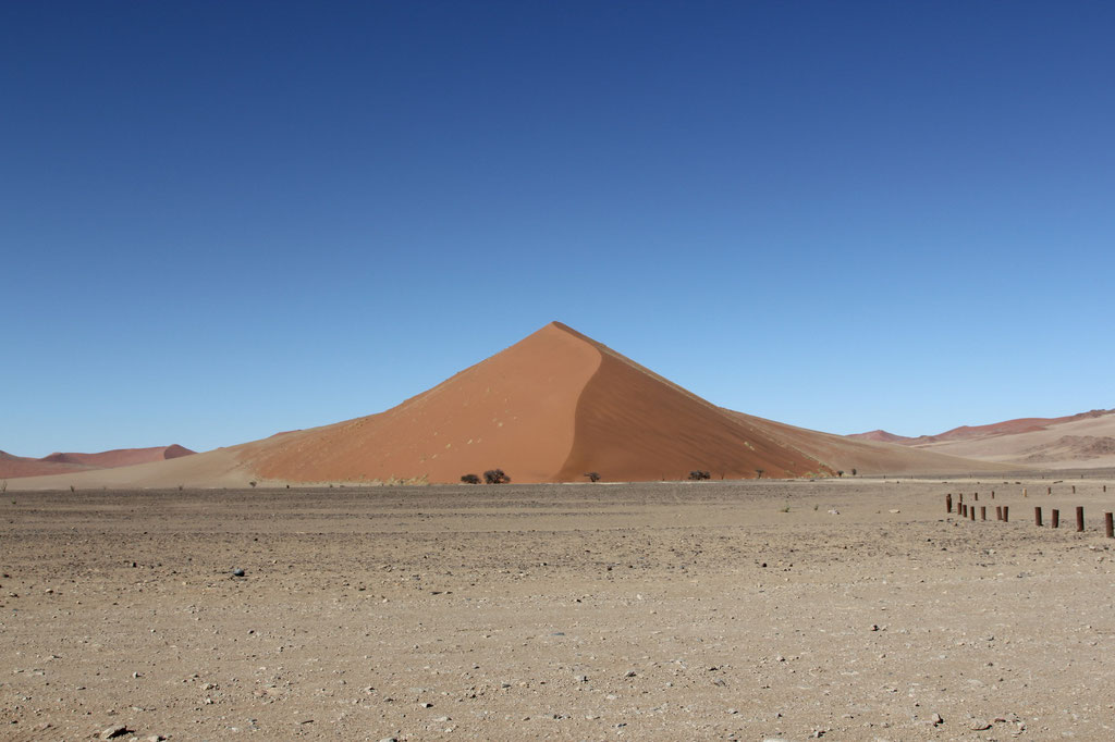 Die Dünen sind bis zu 300 Meter hoch und sehr anstrengend zu besteigen.