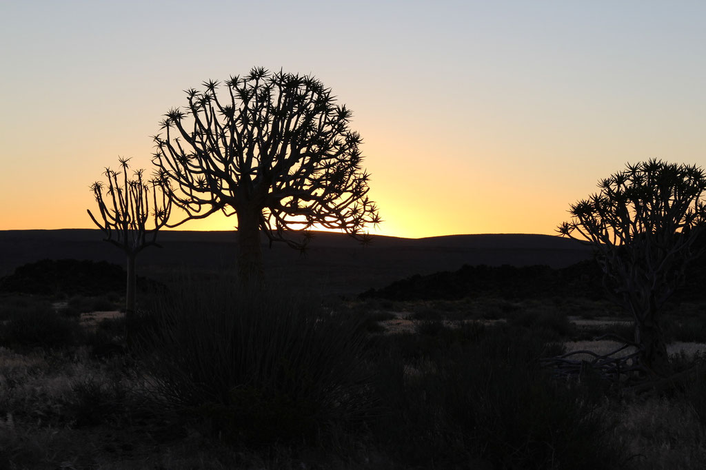 Sonnenuntergang bei der Canyon Lodge