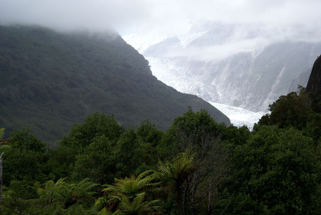 Franz Josef Gletscher