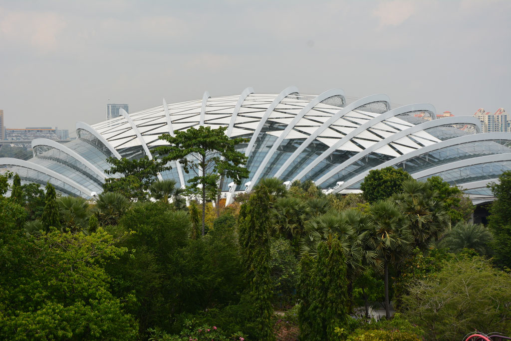 CLOUD FOREST UND FLOWER DOM IM GARDEN OF THE BAY