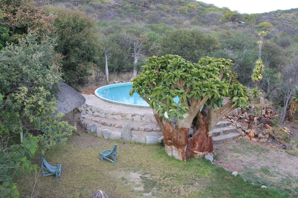 Poolanlage