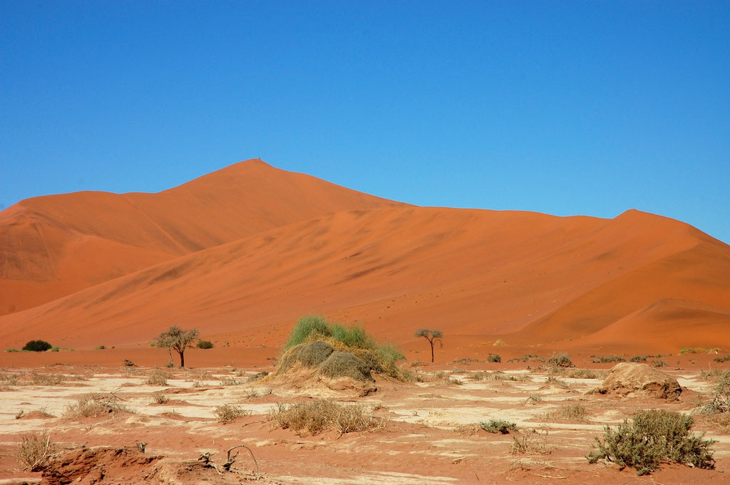 Dünen im Sossusvlei