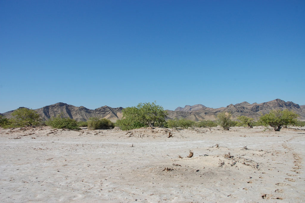 Der Hoanib River ist nur befahrbar wenn er kein Wasser führt.