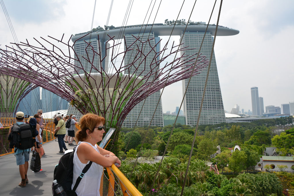 GARDEN OF THE BAY MIT SICHT AUF DAS MARINA BAY SANDS HOTEL 