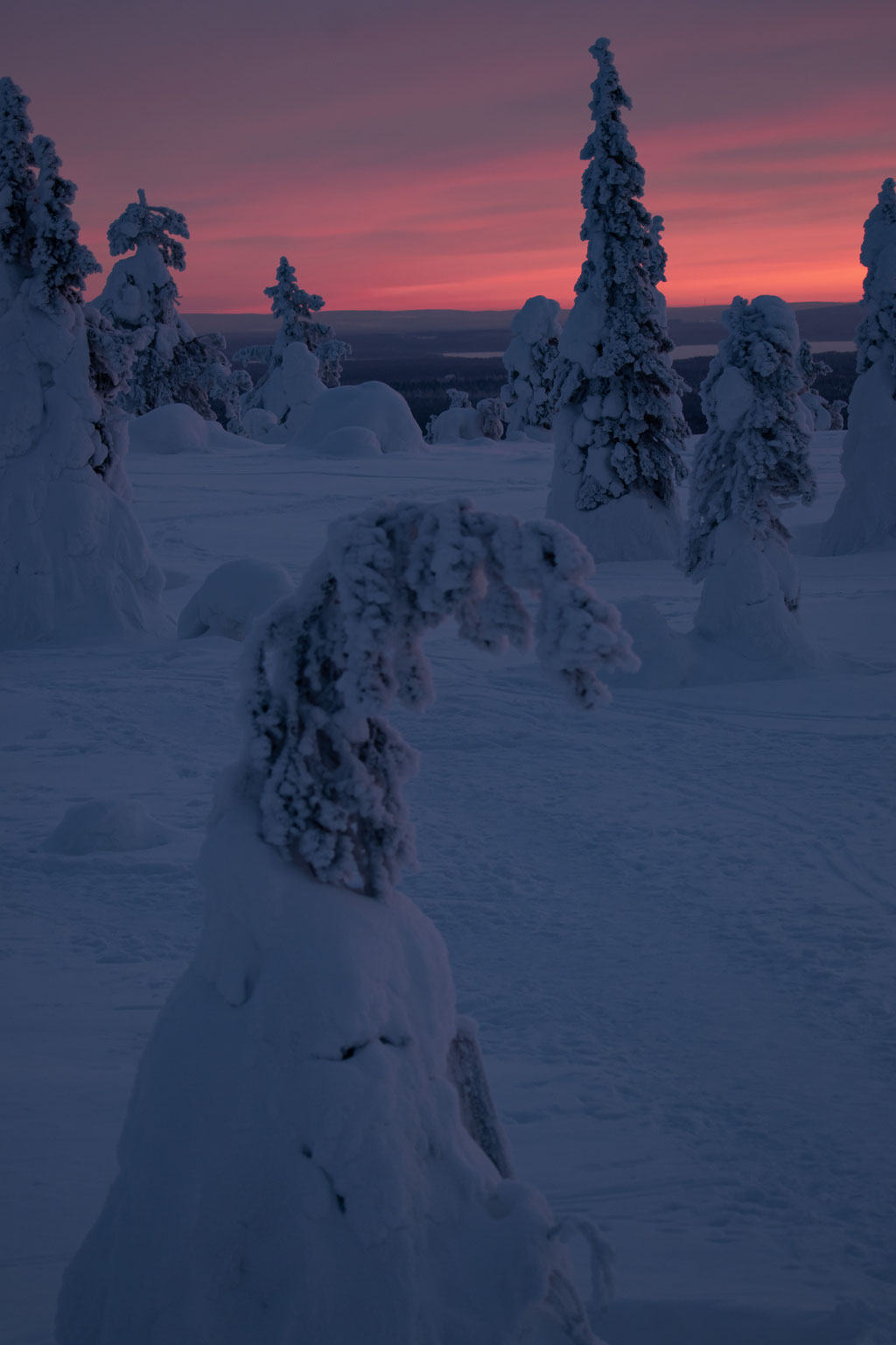 Riisitunturi, coucher de soleil, Kuusamo, ALBUM PHOTO LAPONIE.