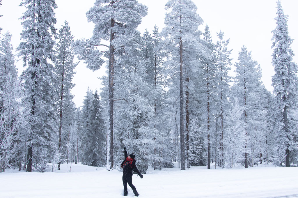 ROAD TRIP EN LAPONIE. Le froid, comment gérer?. Itinéraire, budget infos & aventures détaillées.