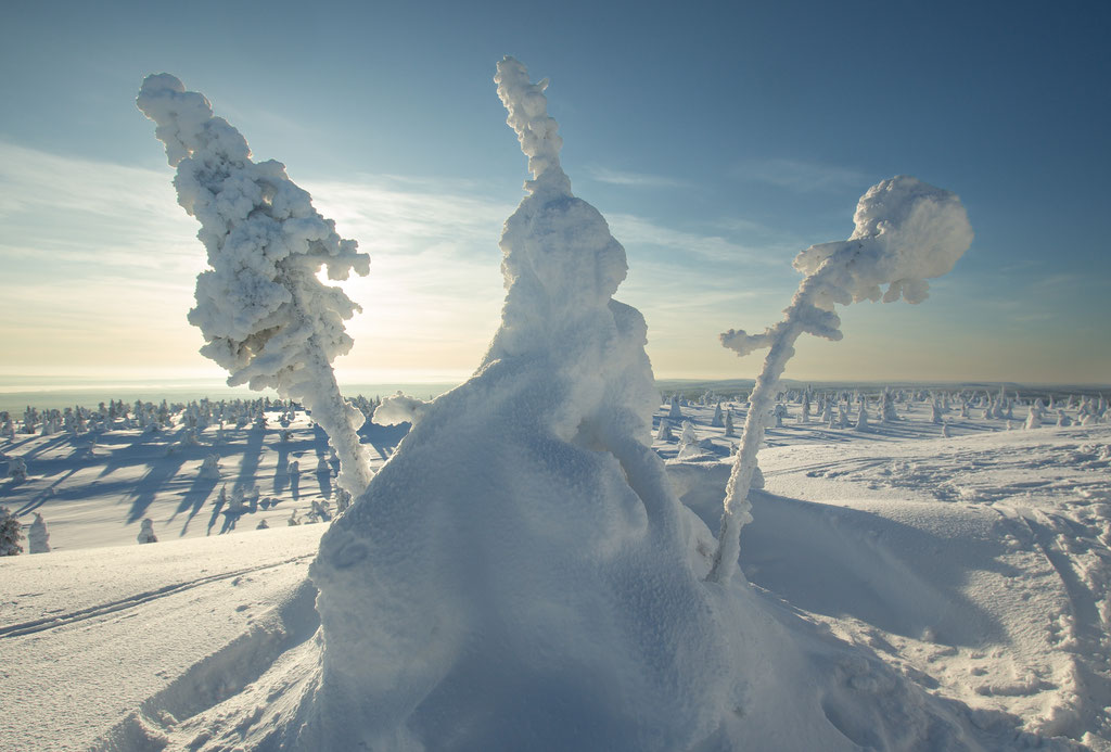 Riisitunturi, Kuusamo, ALBUM PHOTO LAPONIE.