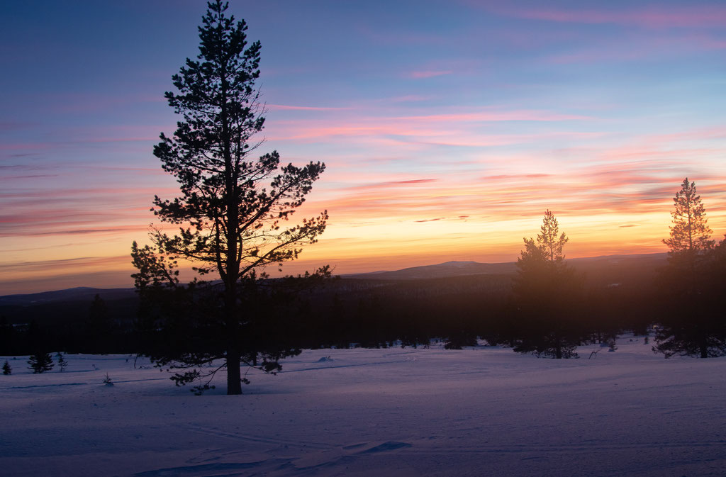 Pallas Yllastunturi, coucher de soleil, ALBUM PHOTO LAPONIE.