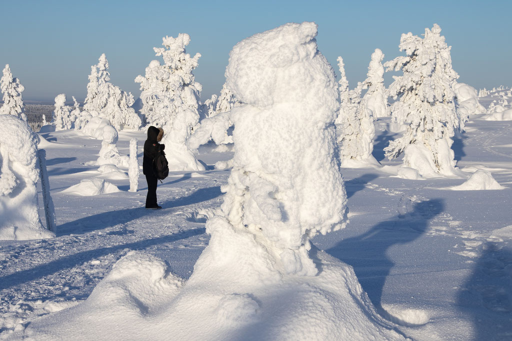 Riisitunturi, Kuusamo, ALBUM PHOTO LAPONIE.