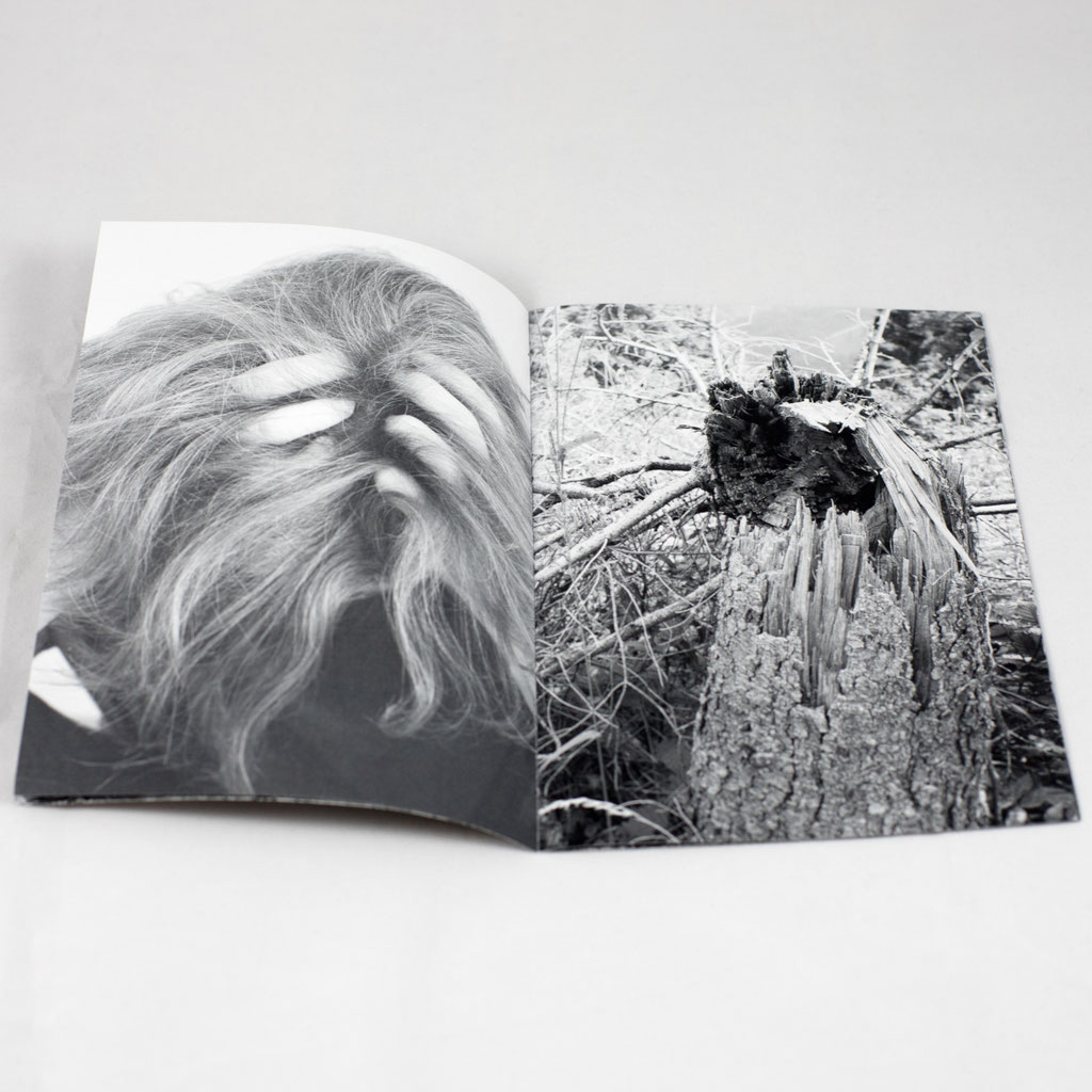 Kirsten Radermacher, book collection 2.0, prolog (2020)