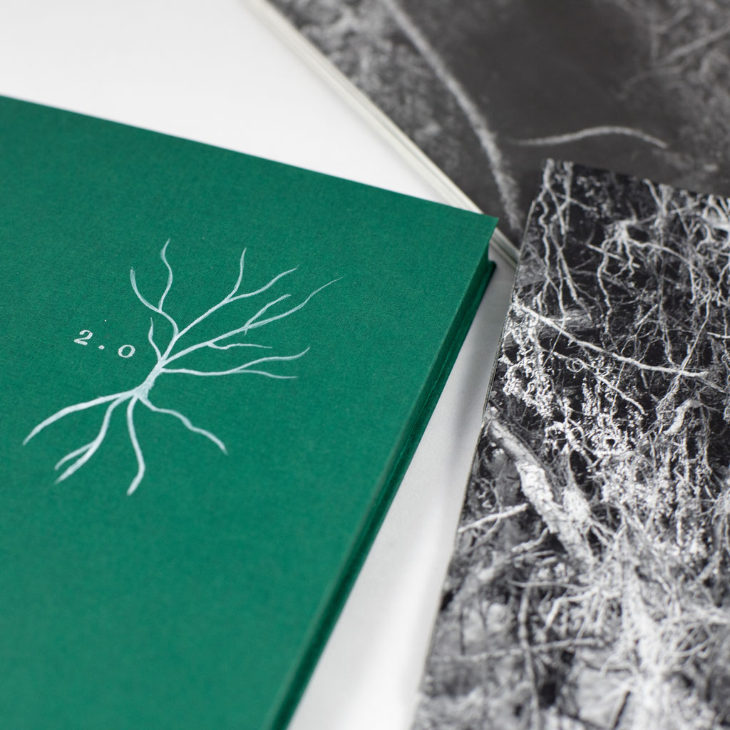 book set 2.0 (2022), green box and handmade cover