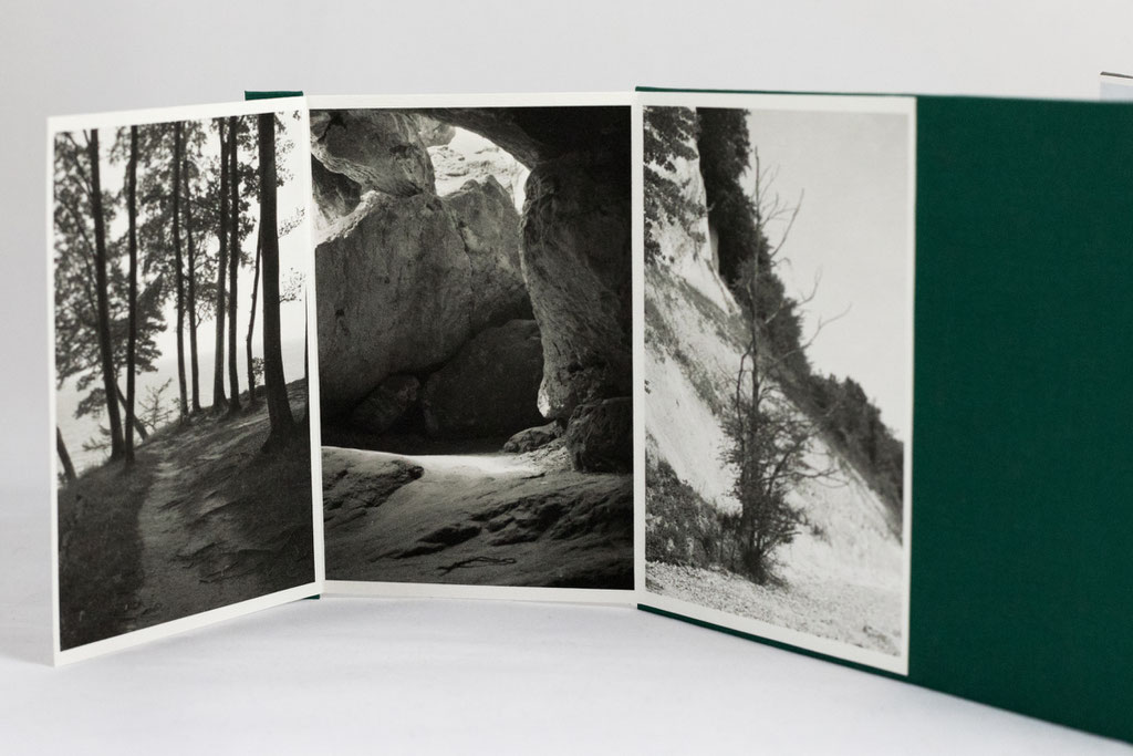 Kirsten Radermacher, 2.0, chapter 'ZWEI', 2024, leporello about nature