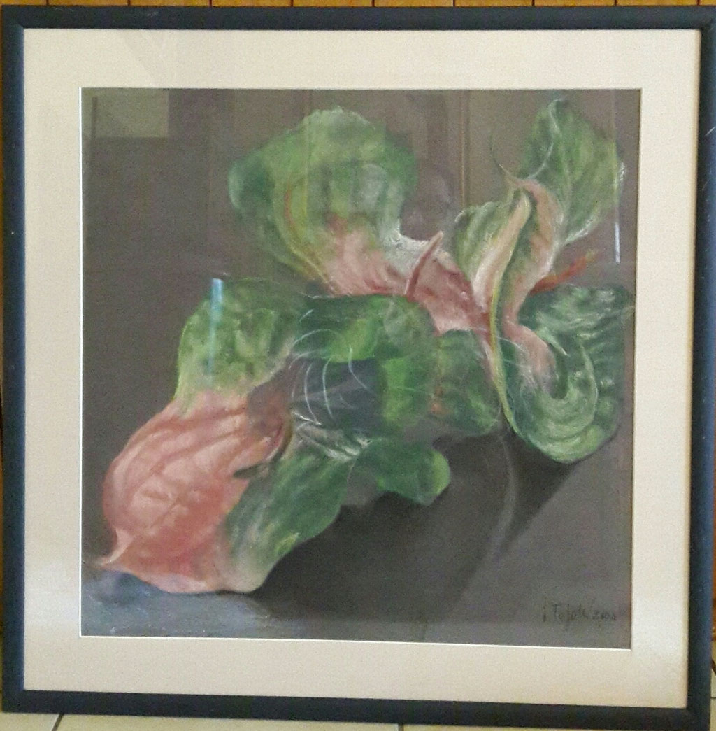 Laura Toponi   pastello su carta 50x50  donazione base € 50 