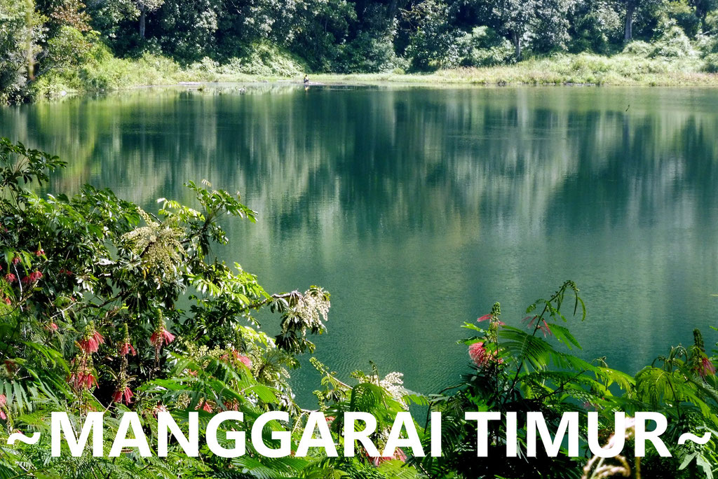 MANGGARAI TIMUR