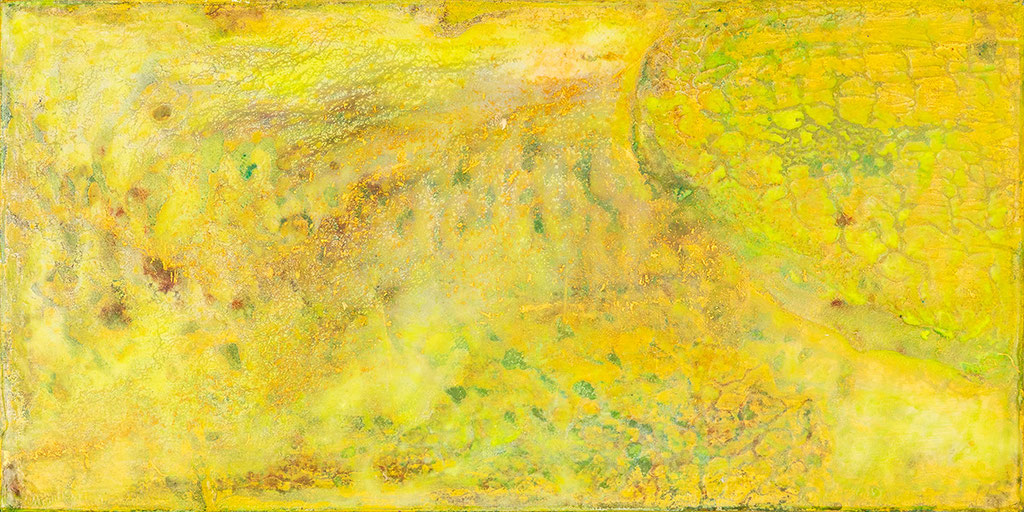 Days Of Light - 2022 (acrylic & mixed media on wood - 20 x 40 x 3) - photo: Chris Gebhart [enquire for price / Preis auf Anfrage]
