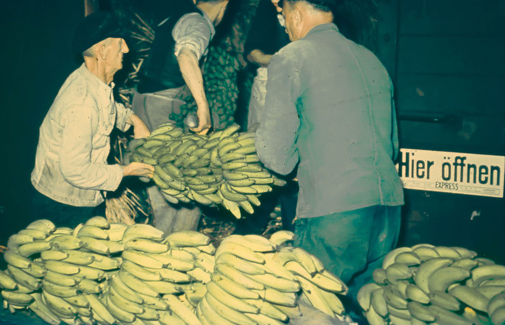 Verladung von Bananenstauden in Bahnwaggons