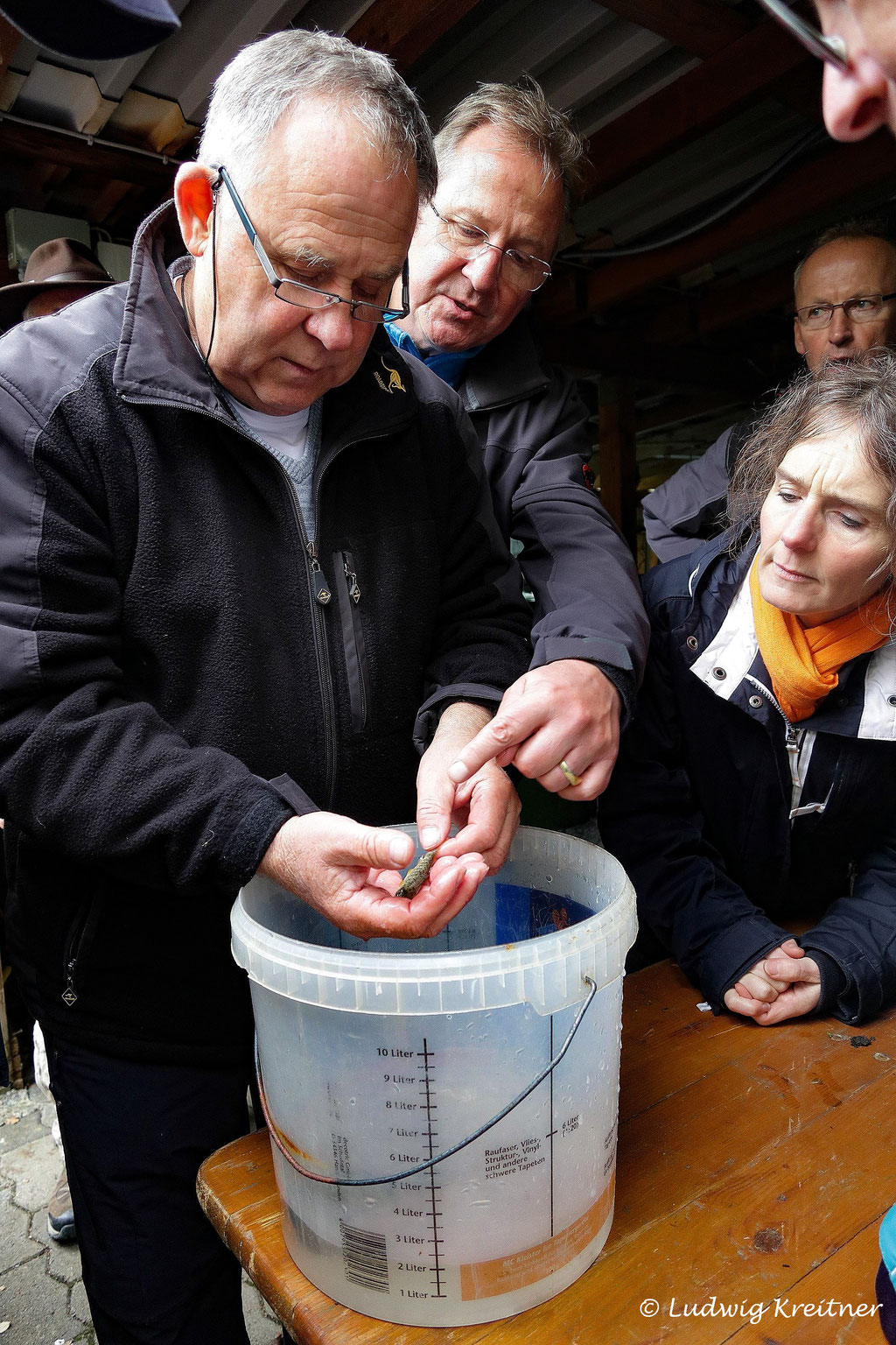 Junge Lachse warten auf den Besatz