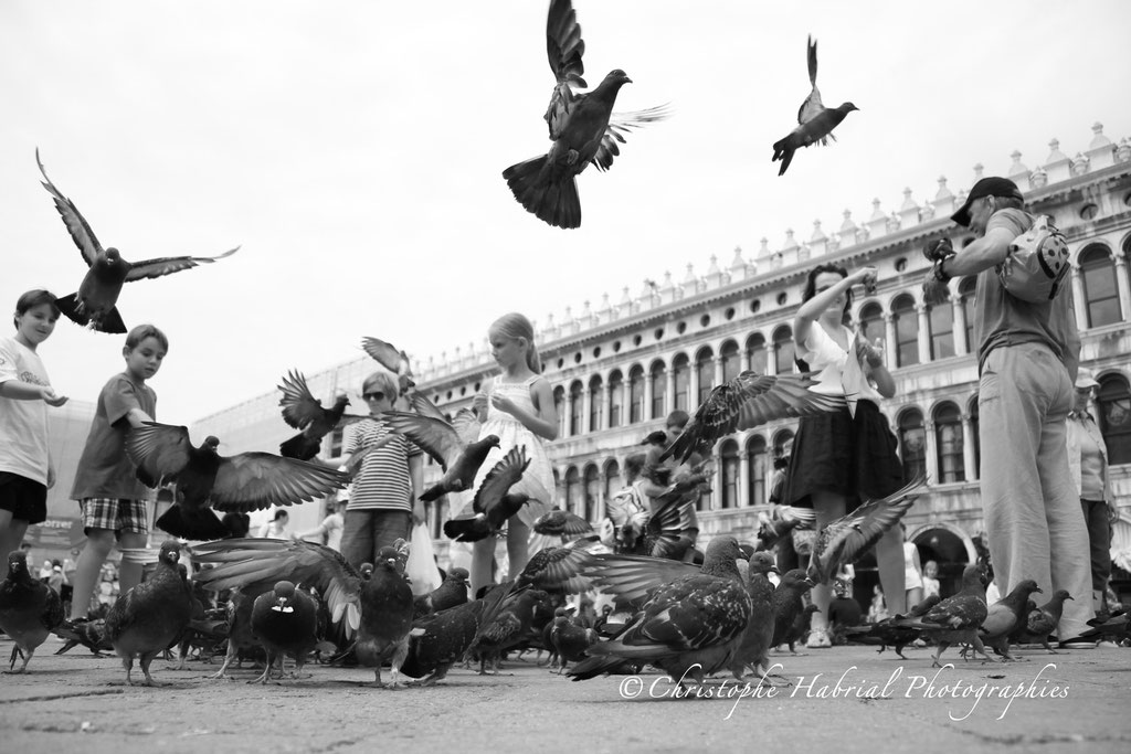 Venise