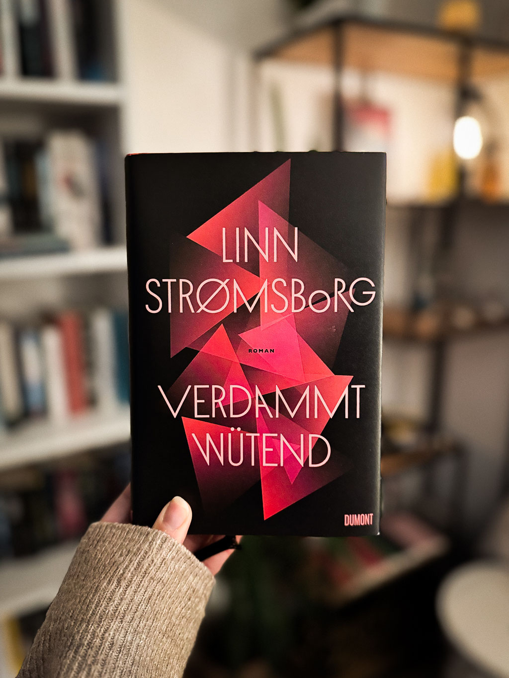 Rezension zu „Verdammt wütend“ von Linn Strømsborg
