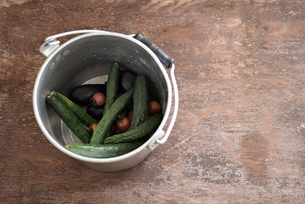 自家菜園の新鮮野菜が採れたて