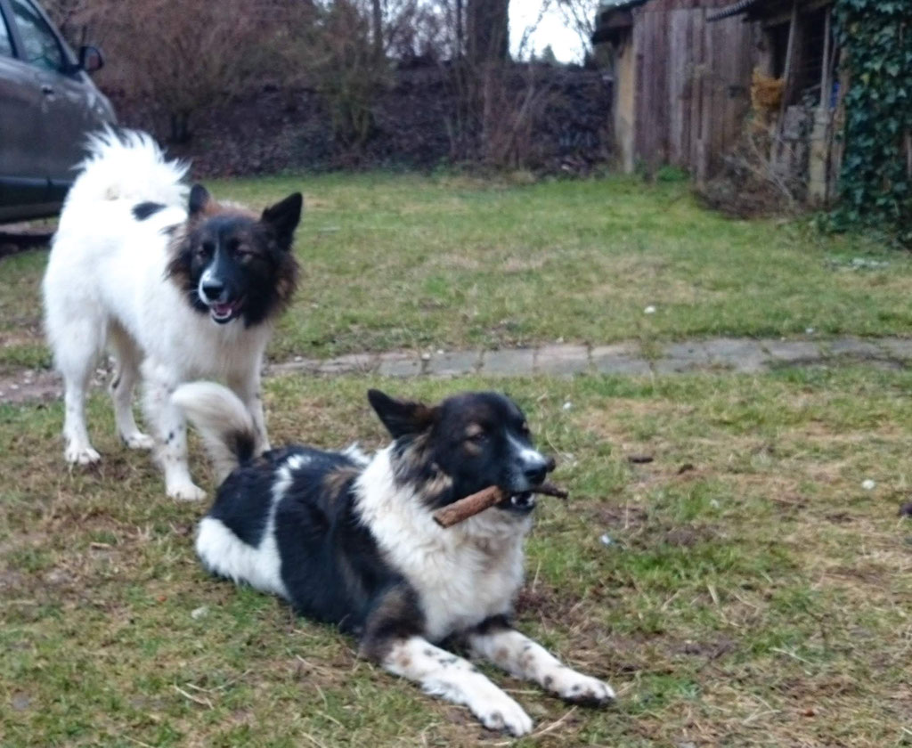 Elo die Schwestern Yaponi und Yndie