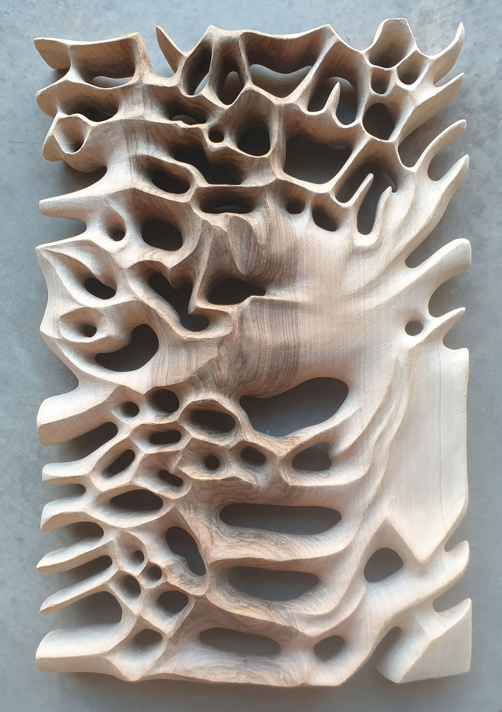Olas. 43x33x6