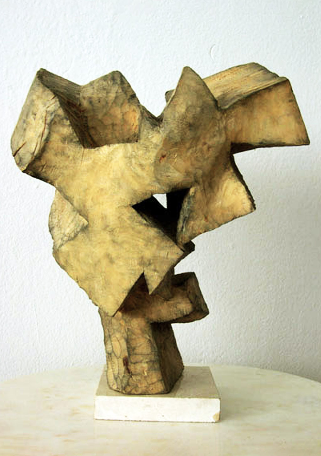 Cabeza de pajaros.