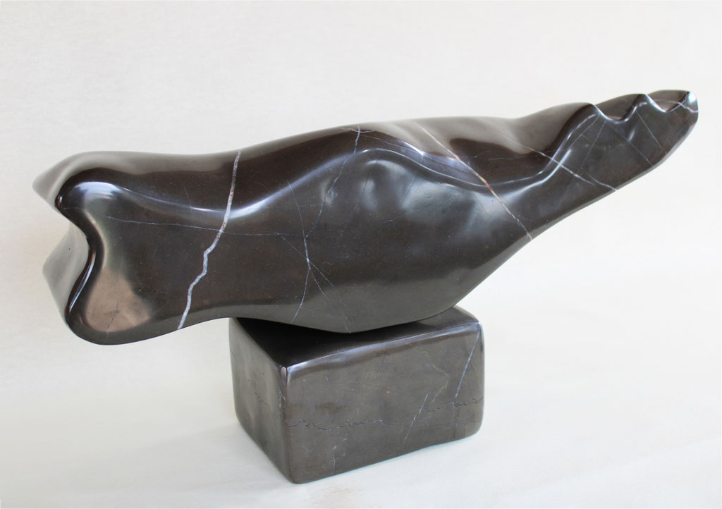 Nutria. 20x20x50