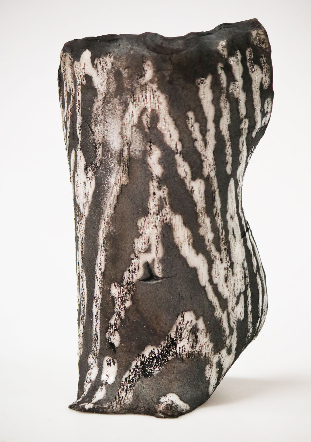 Tiempo Vegetal II. 23x13x11