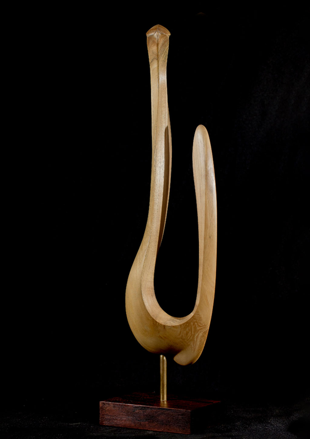 Expectante. 15x58x11