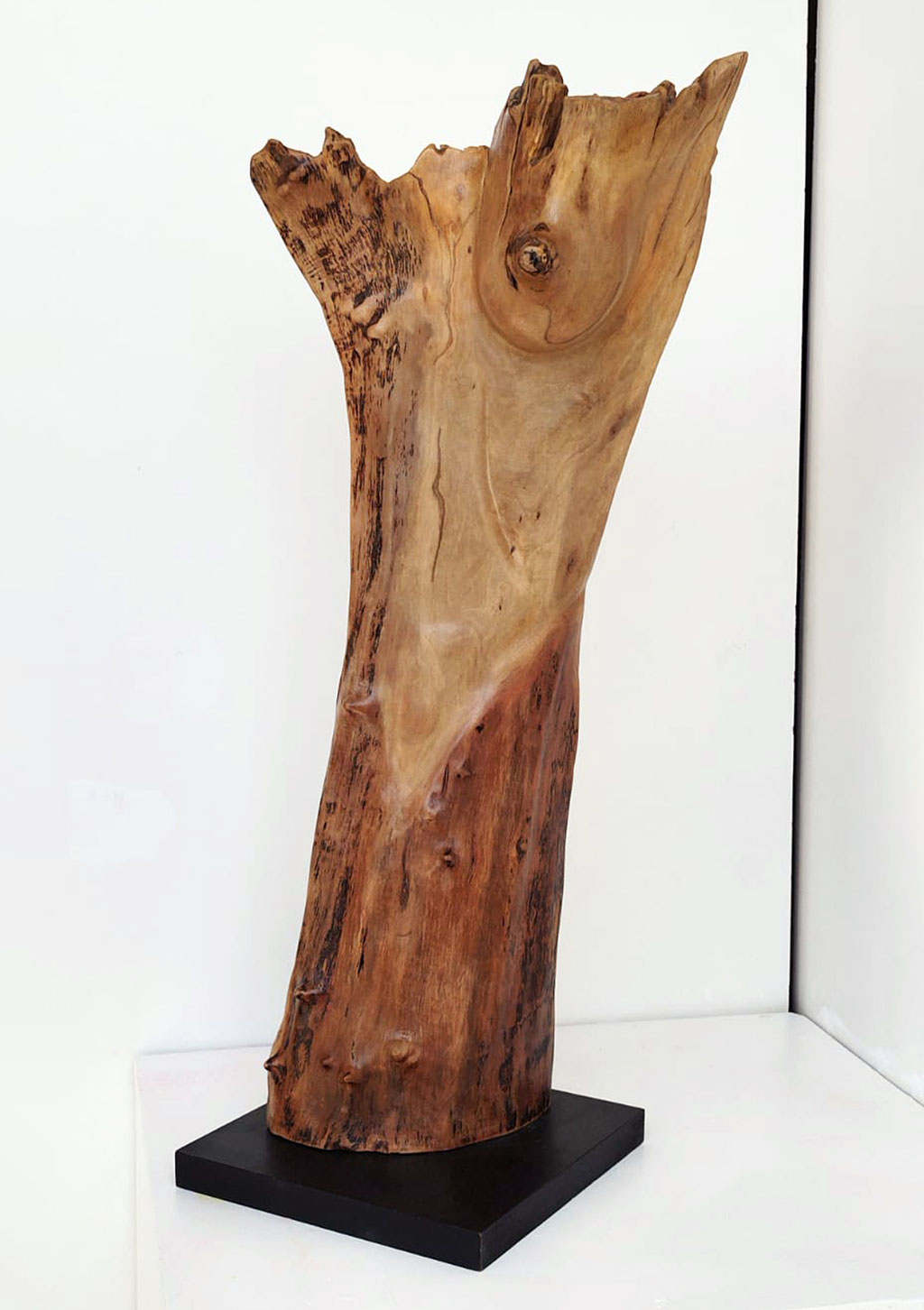 Esperanza. 80x20x20