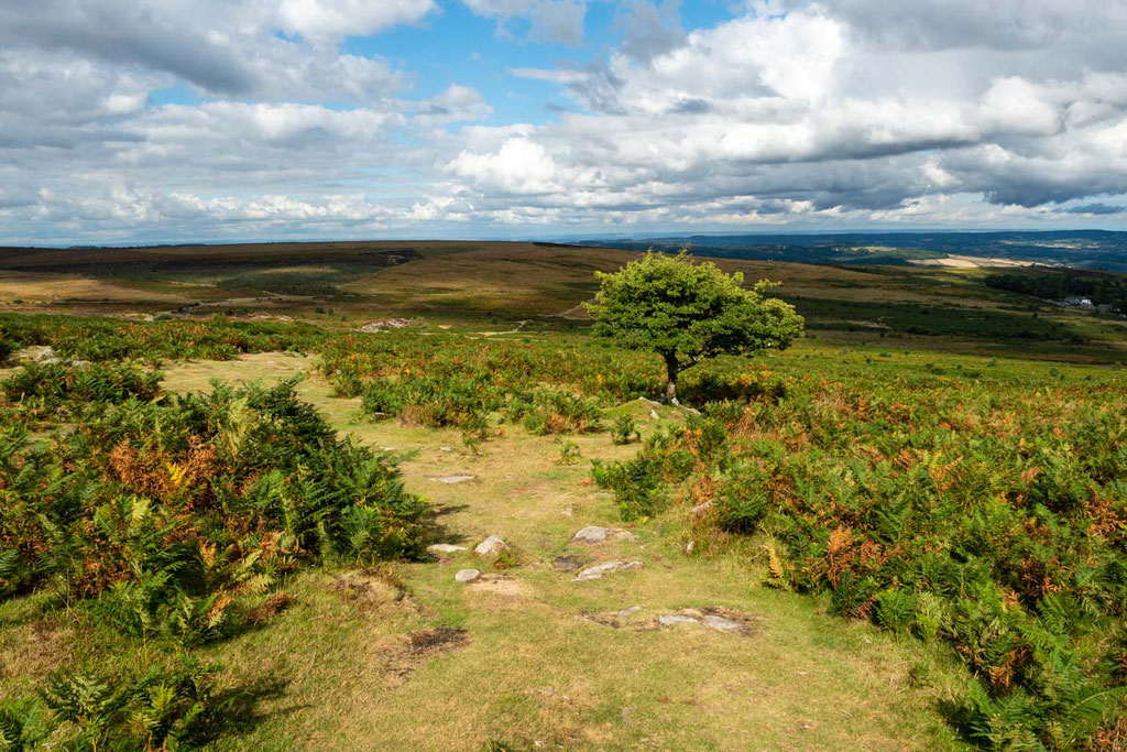 Dartmoor Nationalpark, Südengland