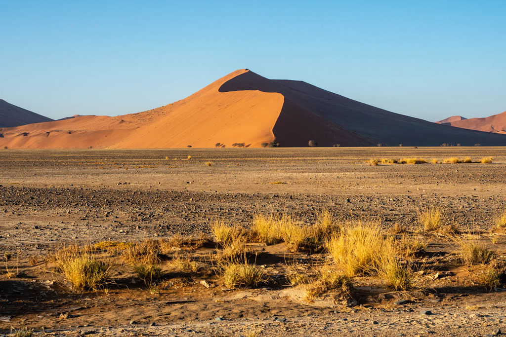 Namib Naukluft Nationalpark, Namibia