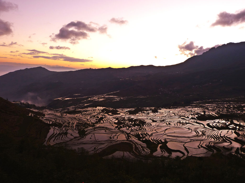 Sonnenaufgang über den Reisterrassen in Yuanyang, China