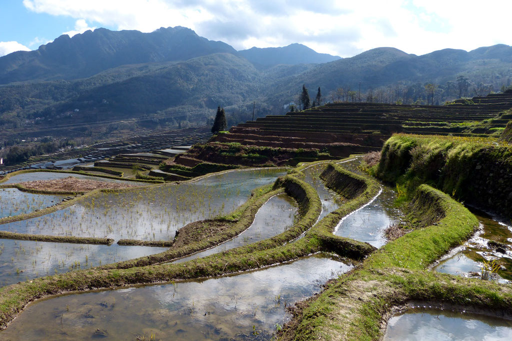 Reisterrassenlandschaft in Yuanyang, China