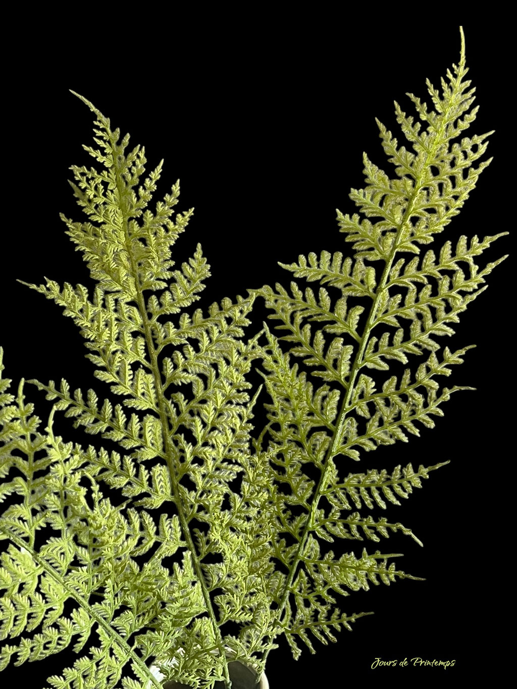 Branche de fougère artificielle haut de gamme
