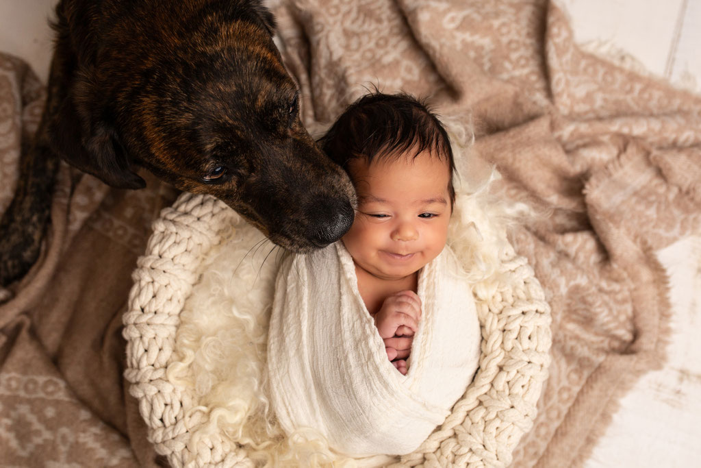 Professionelles Baby-Shooting im Studio zusammen mit dem Familienhund